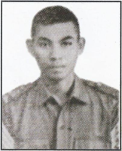 379 Sadono (alm) muda