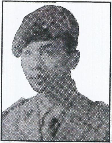 442 Sugiarto muda
