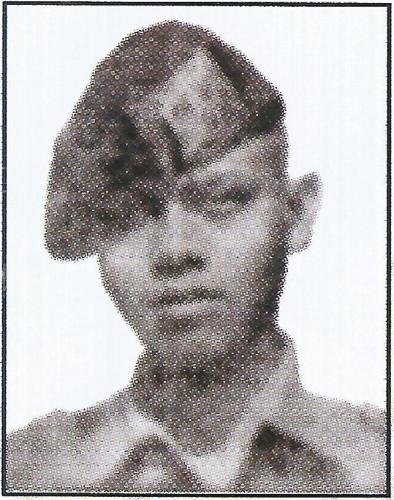499 Ungkap P. Pane muda