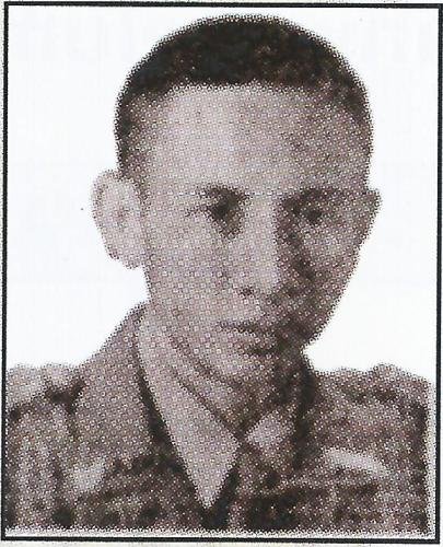 528 Zuniar AZ. (alm) muda